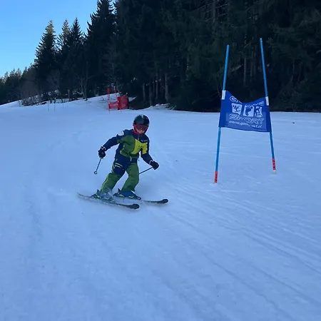 شقة Unterhollenau