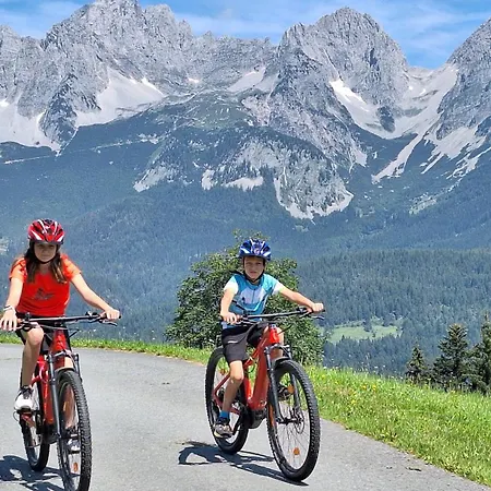 Unterhollenau شقة