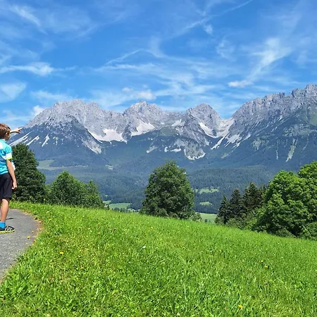 Unterhollenau شقة