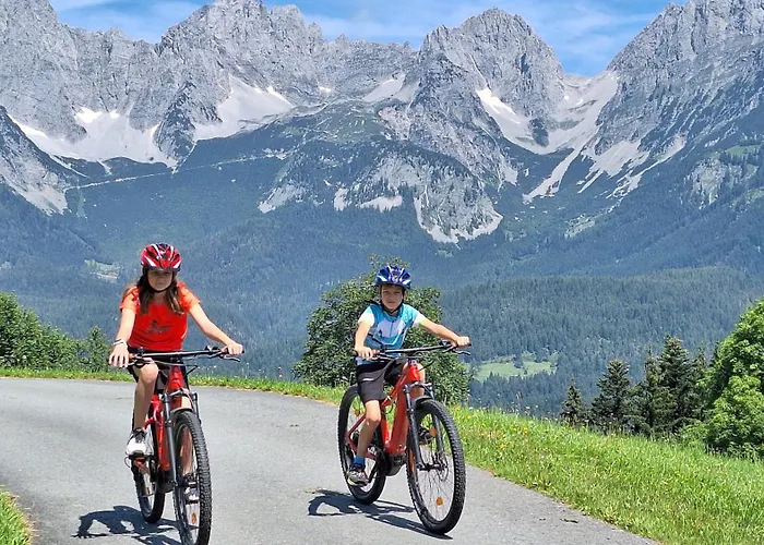 Unterhollenau 아파트